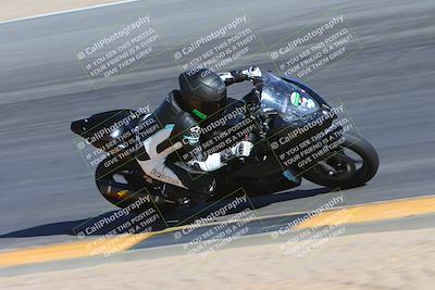 media/Feb-03-2024-SoCal Trackdays (Sat) [[767c60a41c]]/10-Turn 10 Inside (130pm)/